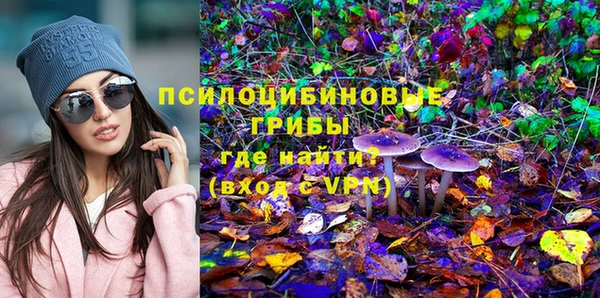 гашиш Бородино