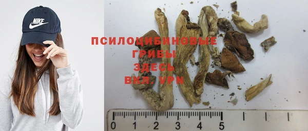 гашиш Бородино