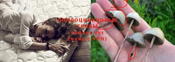 СК Бугульма