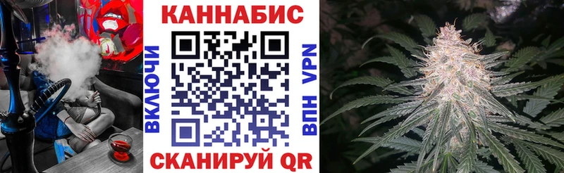 Канабис гибрид  MEGA ONION  Шумерля  магазин продажи  